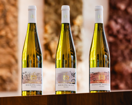 Riesling Terroir (3 x 0,75l) - JakobGerhardt.de